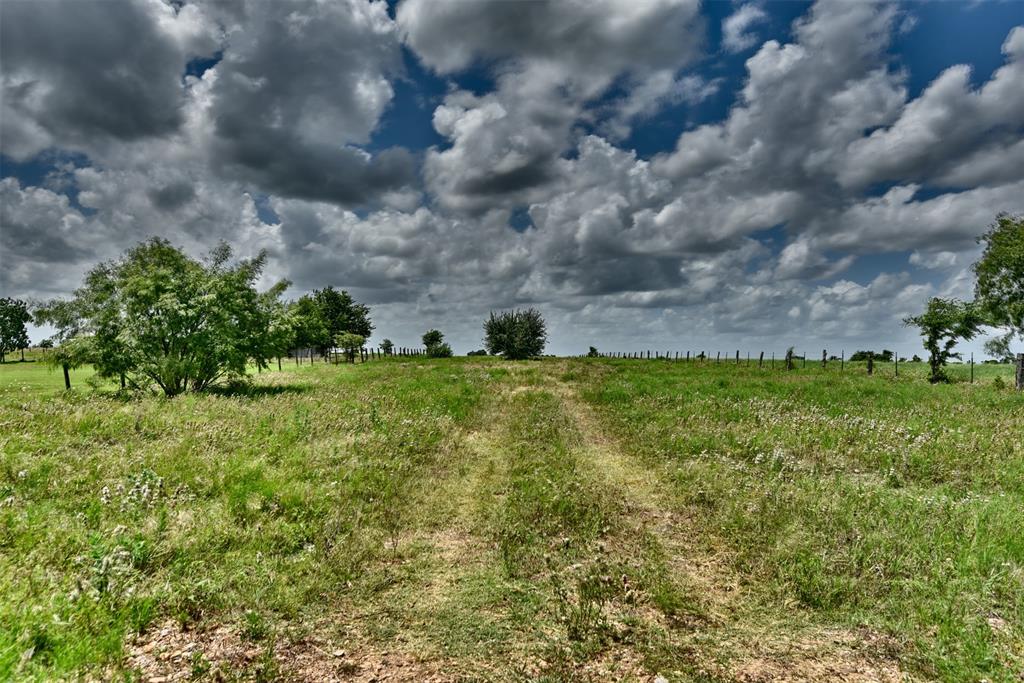 Tract 1 San Felipe Road , New Ulm, Texas image 11