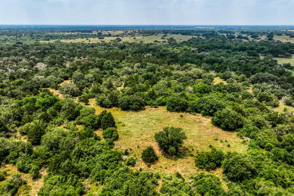 TBD County Road 408  , Yoakum, Texas image 11