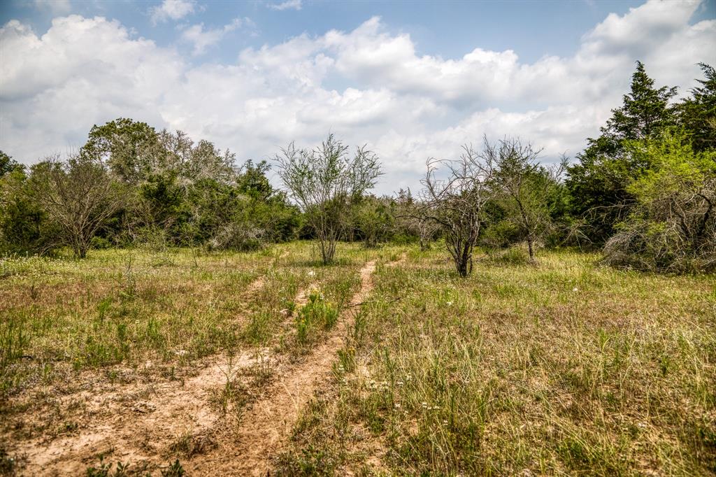 TBD County Road 408  , Yoakum, Texas image 12