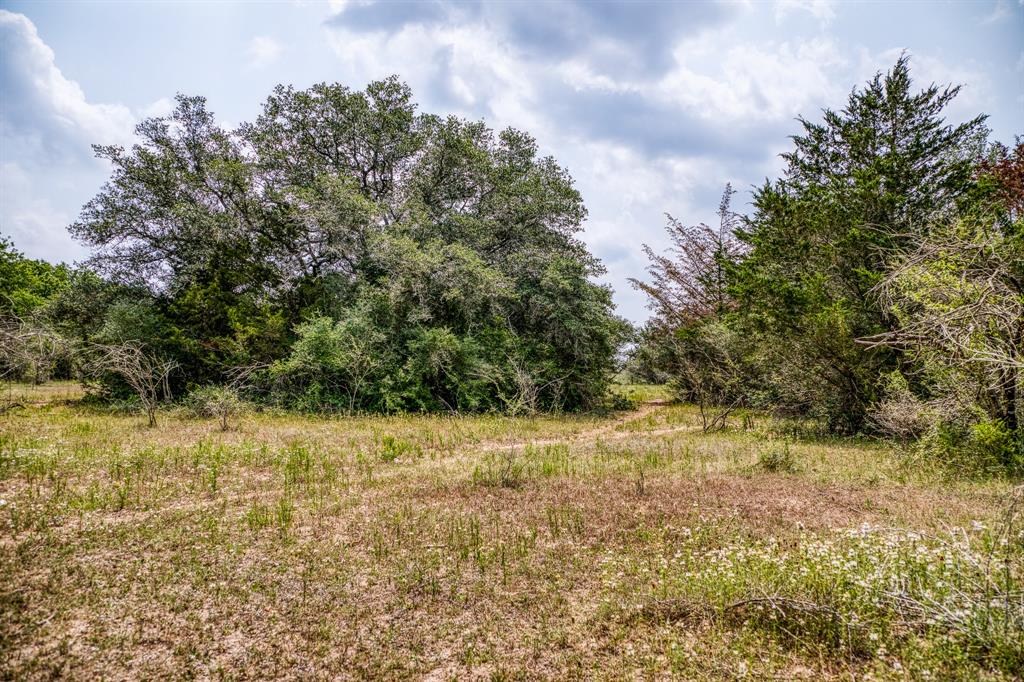 TBD County Road 408  , Yoakum, Texas image 14