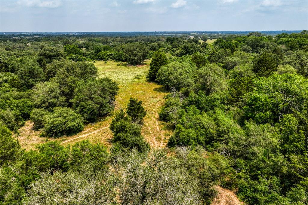 TBD County Road 408  , Yoakum, Texas image 15