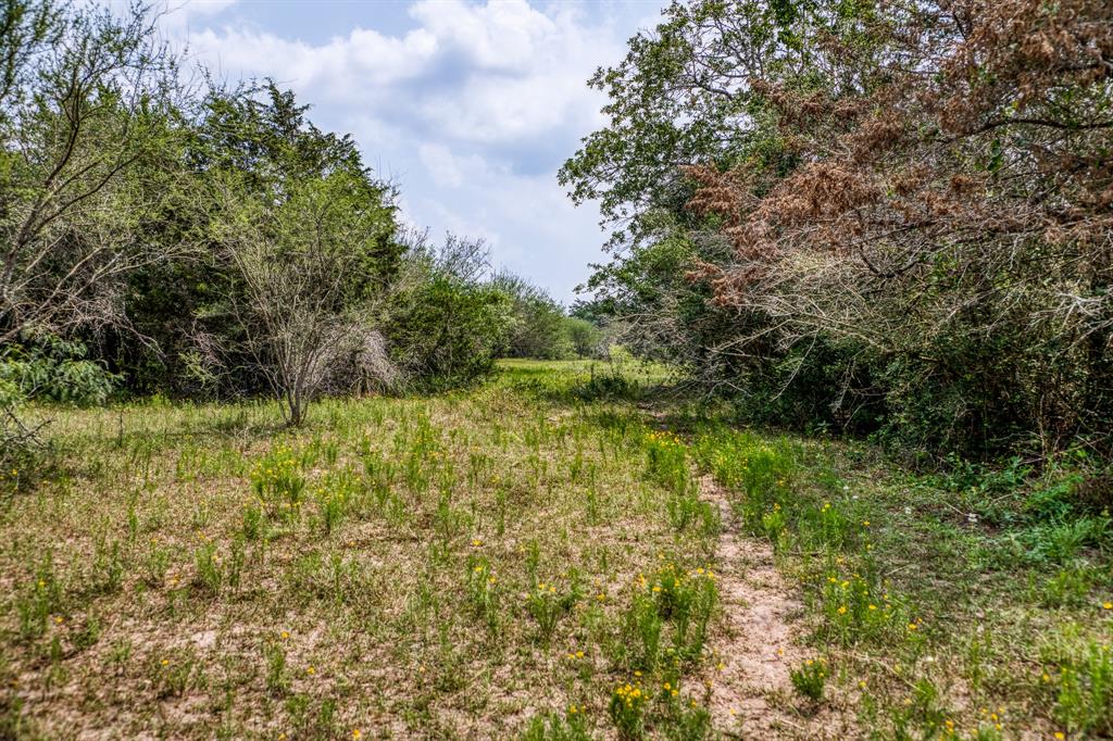 TBD County Road 408  , Yoakum, Texas image 16