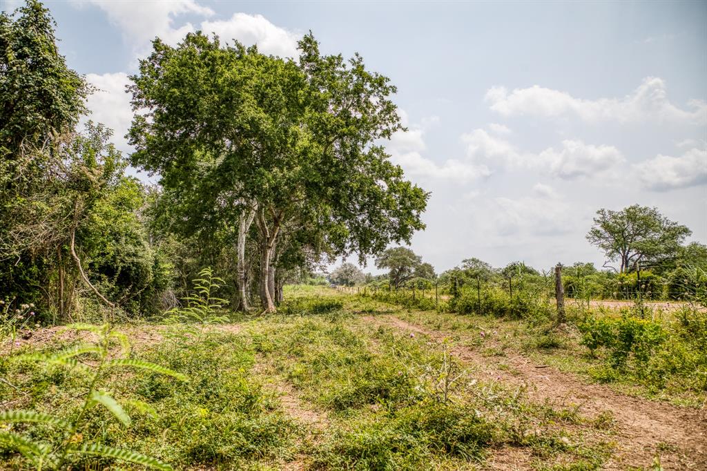 TBD County Road 408  , Yoakum, Texas image 17