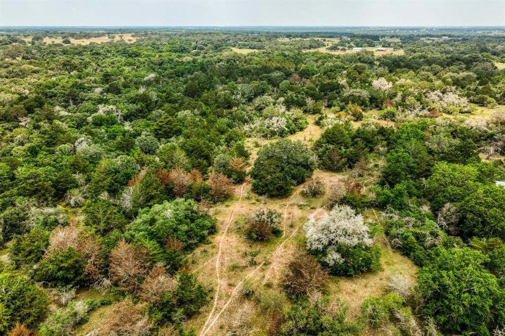 TBD County Road 408  , Yoakum, Texas image 18