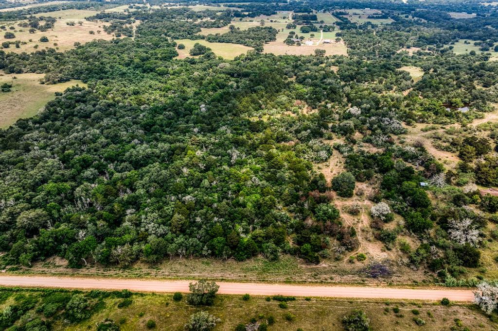 TBD County Road 408  , Yoakum, Texas image 19