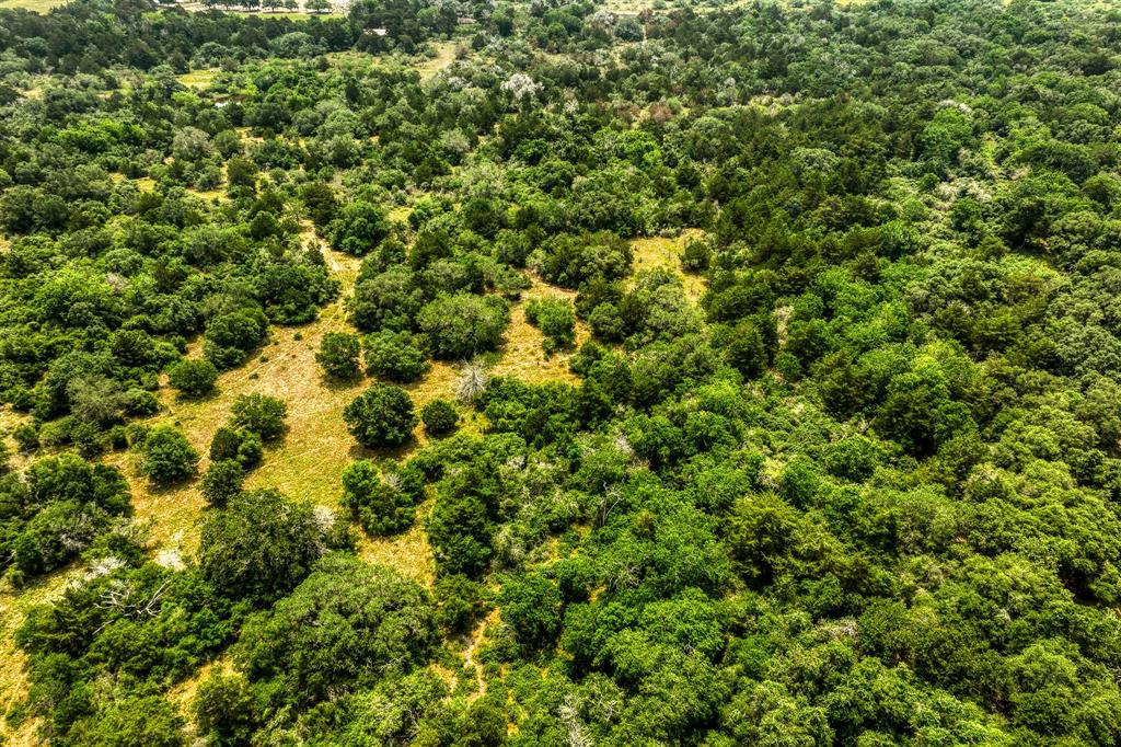 TBD County Road 408  , Yoakum, Texas image 22