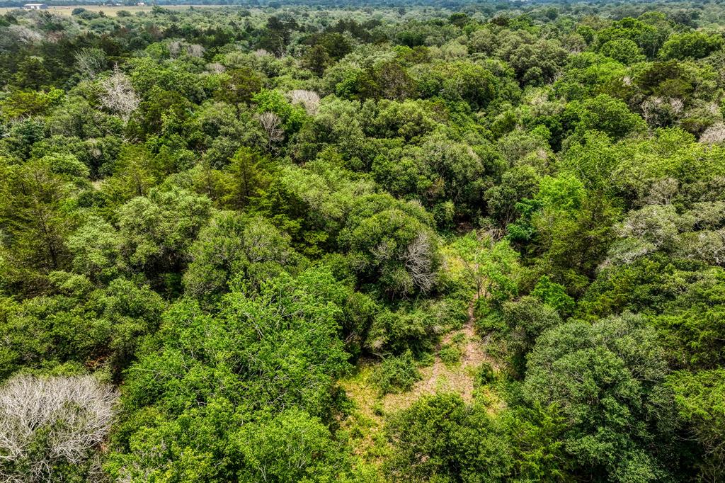 TBD County Road 408  , Yoakum, Texas image 24