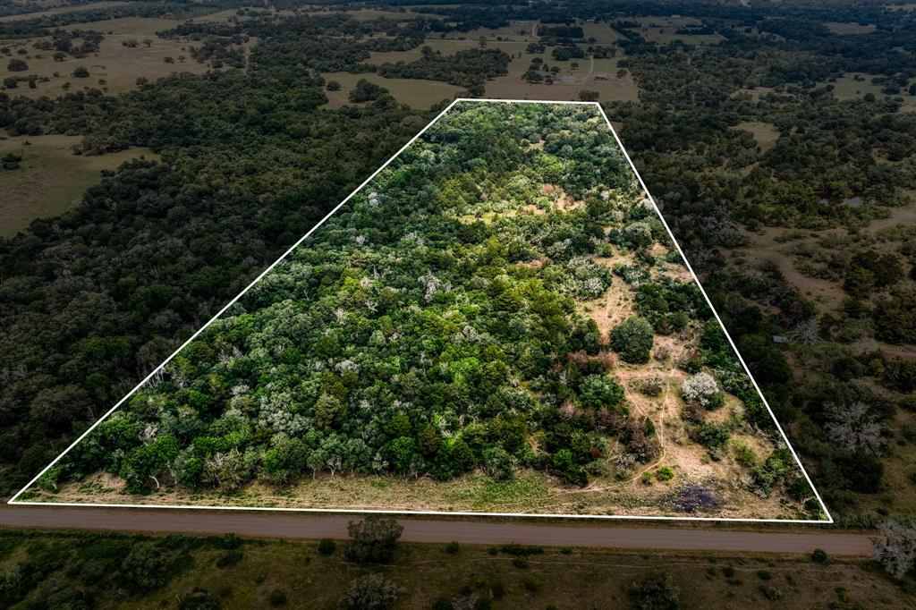 TBD County Road 408  , Yoakum, Texas image 4