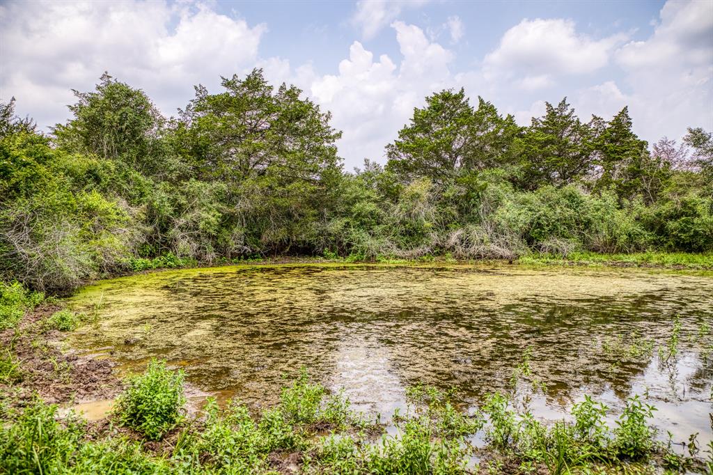 TBD County Road 408  , Yoakum, Texas image 6