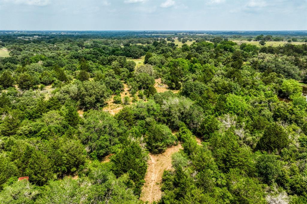 TBD County Road 408  , Yoakum, Texas image 7