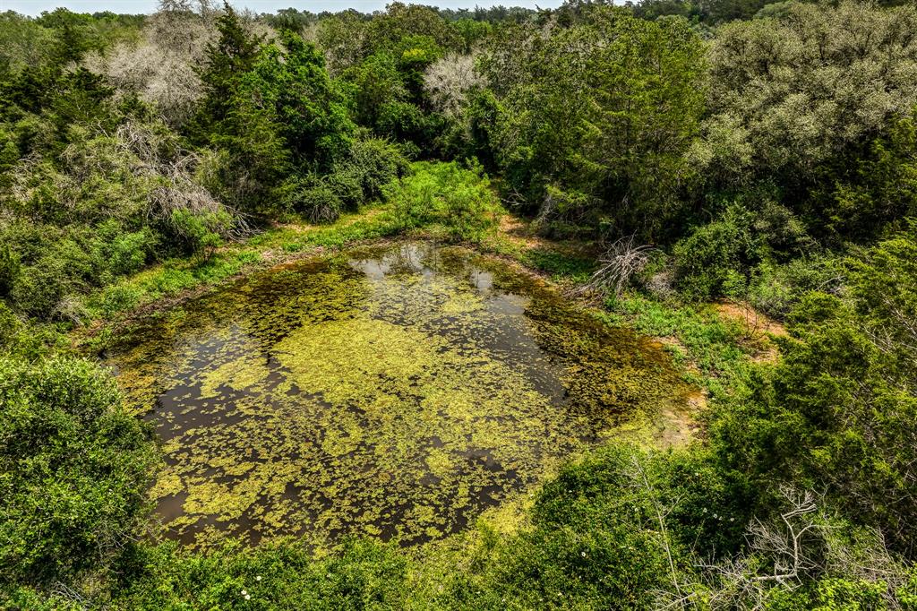 TBD County Road 408  , Yoakum, Texas image 9