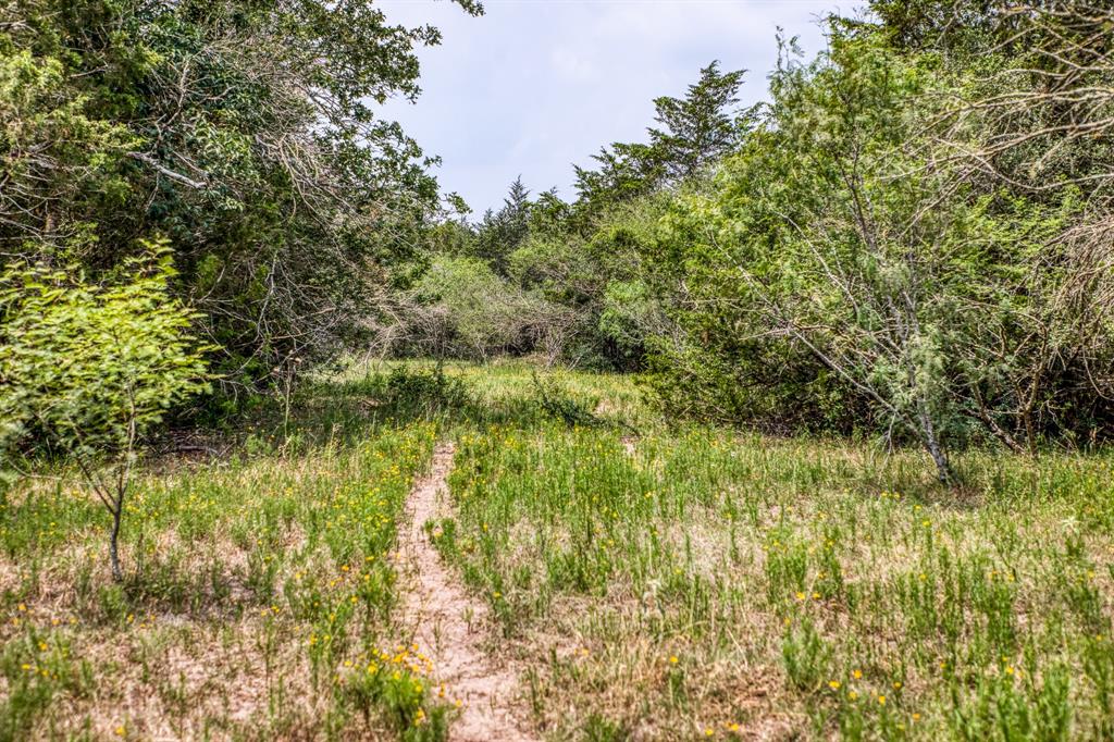 TBD County Road 408  , Yoakum, Texas image 10