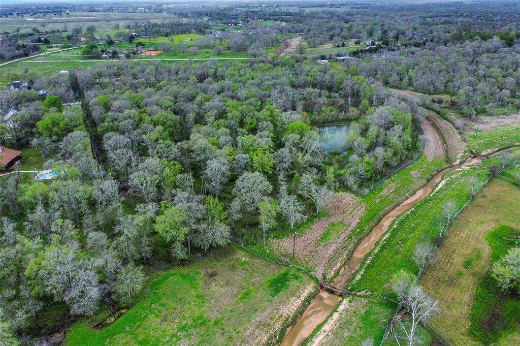 As the seasons transition, the foliage transforms into a vibrant green, enhancing the beauty of the land.