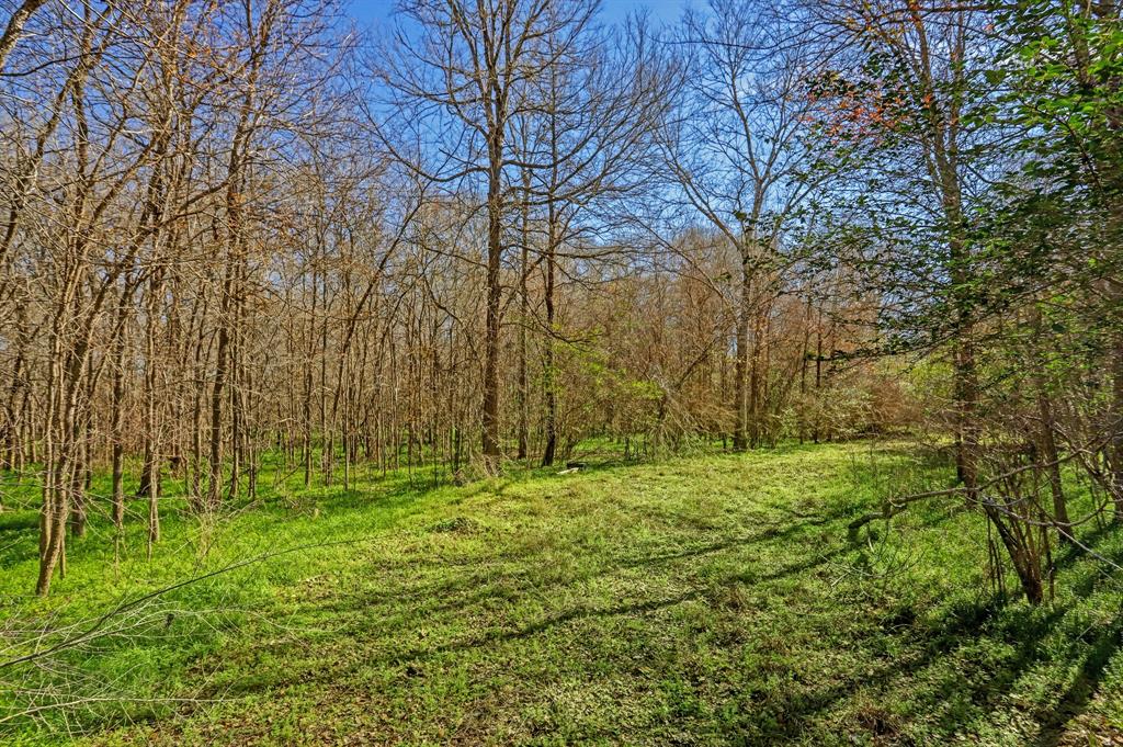 A tree lined path guides you to the perfect spot for your custom home in the open clearing(next picture).