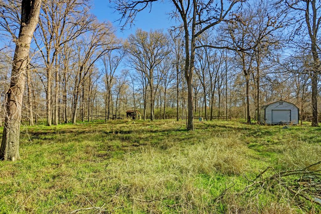 This cleared area may be the prefect location for your dream home. A metal storage shed is included(right). A small chicken coop(left) is also on the property.