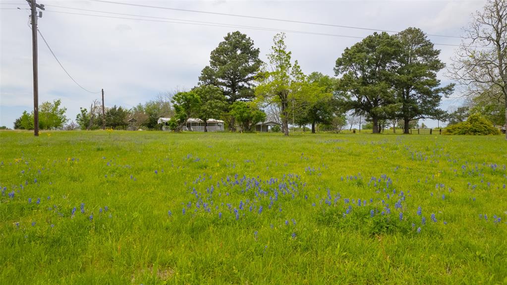 9201 Conner Road Road , Washington, Texas image 13