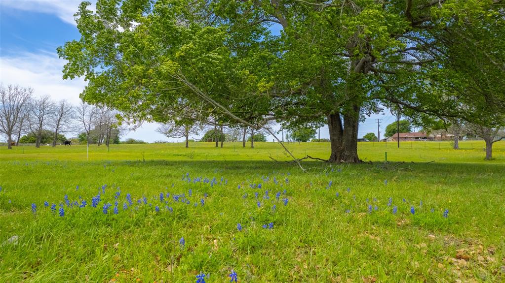 9201 Conner Road Road , Washington, Texas image 22