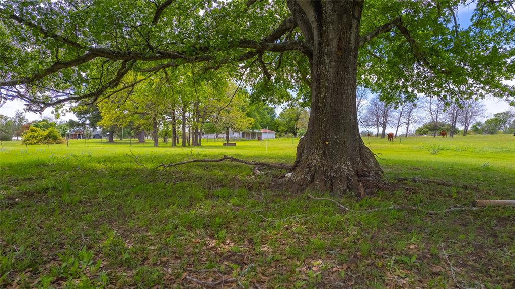 9201 Conner Road Road , Washington, Texas image 6