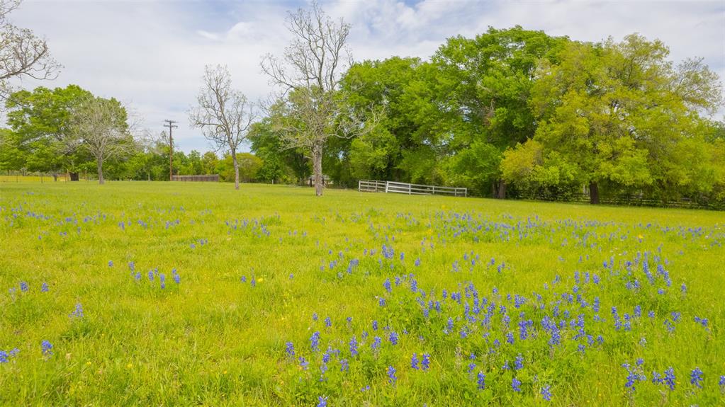 9201 Conner Road Road , Washington, Texas image 8