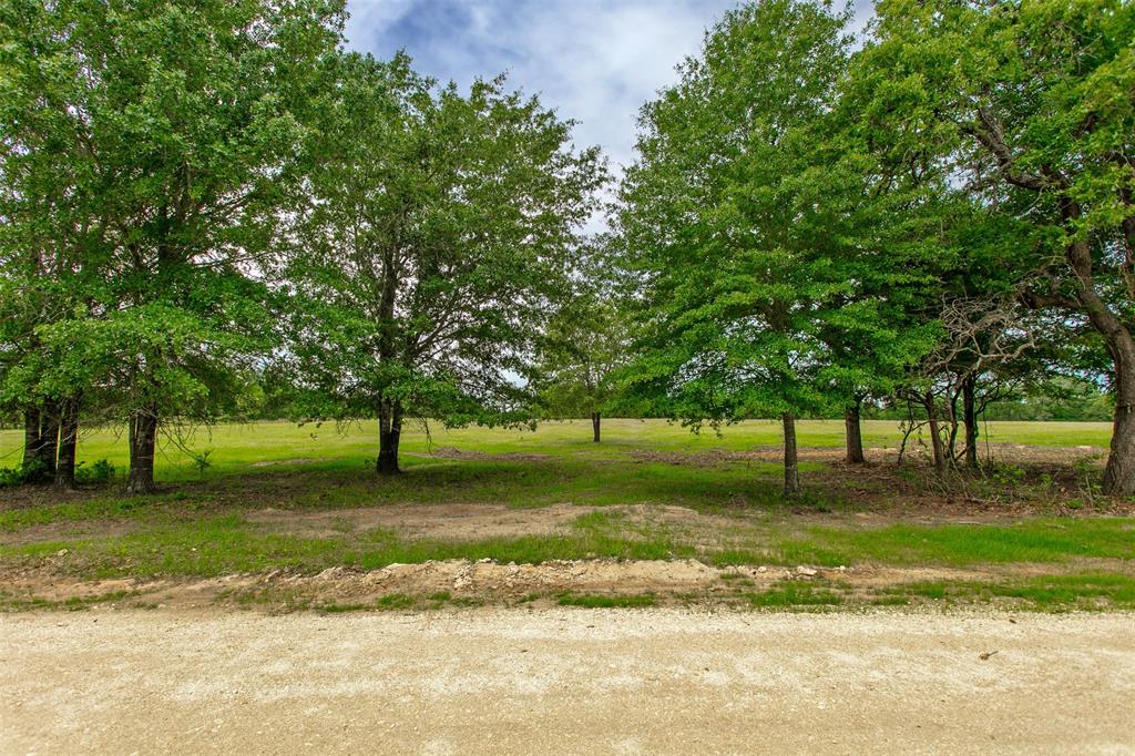 1 Green Acres Lane , Milano, Texas image 6