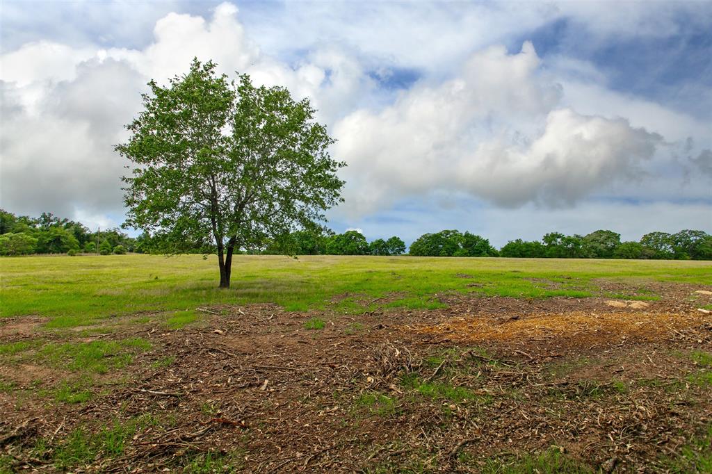 1 Green Acres Lane , Milano, Texas image 9