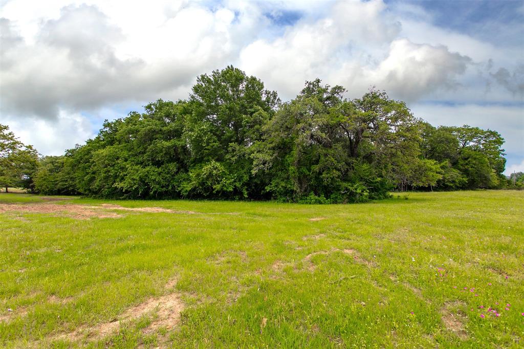 5 Green Acres Lane , Milano, Texas image 8