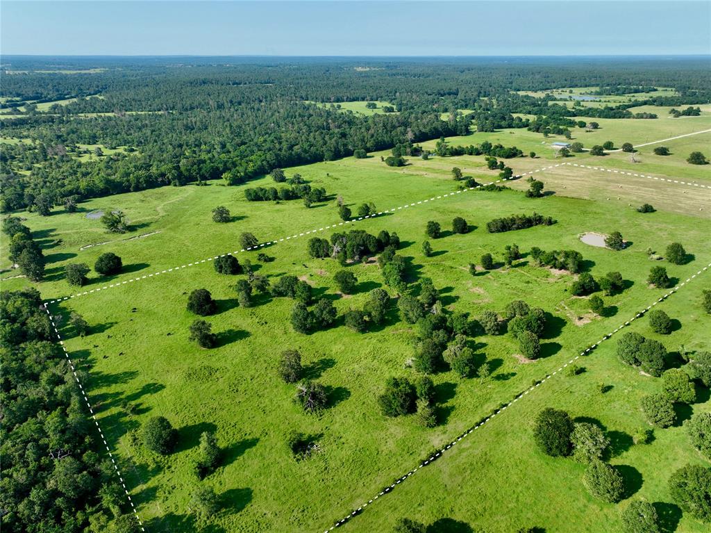 1 Bays Chapel Road , Richards, Texas image 4