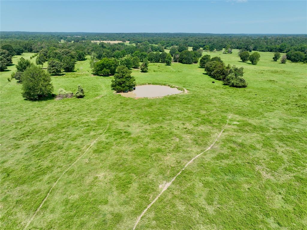 1 Bays Chapel Road , Richards, Texas image 7