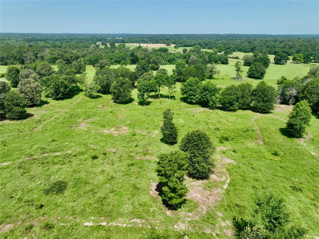 1 Bays Chapel Road , Richards, Texas image 8