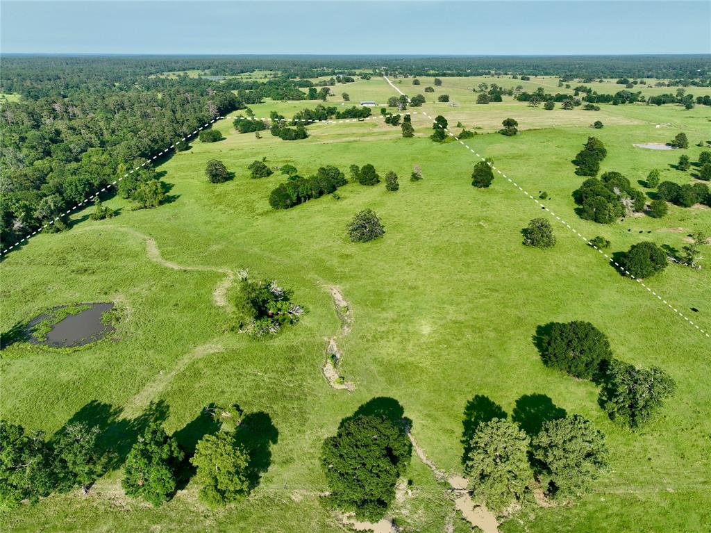 2 Bays Chapel Road , Richards, Texas image 5