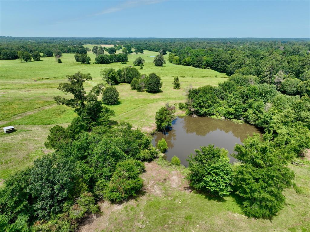 2 Bays Chapel Road , Richards, Texas image 7