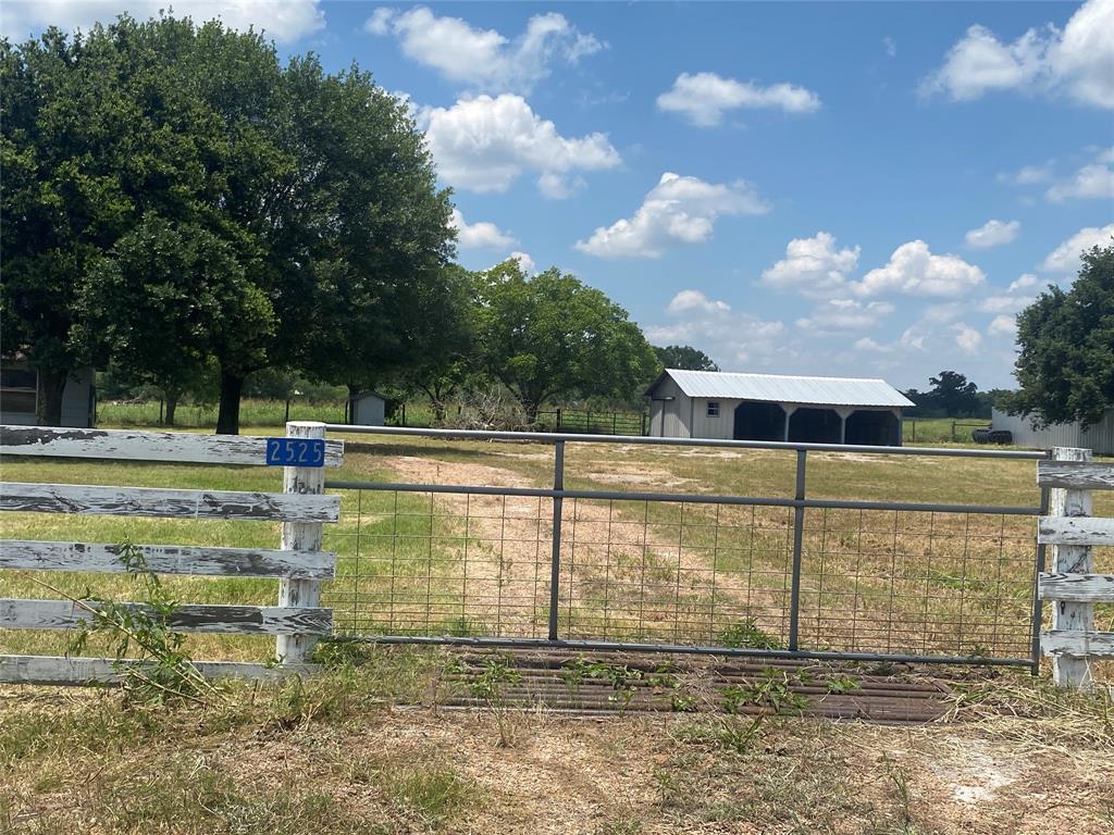 Horses on 2477 St Hwy 159