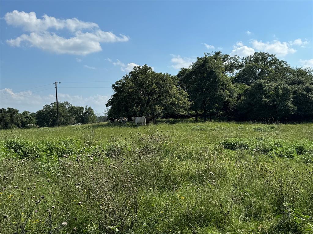 00 County Road 411 Road , Lexington, Texas image 11