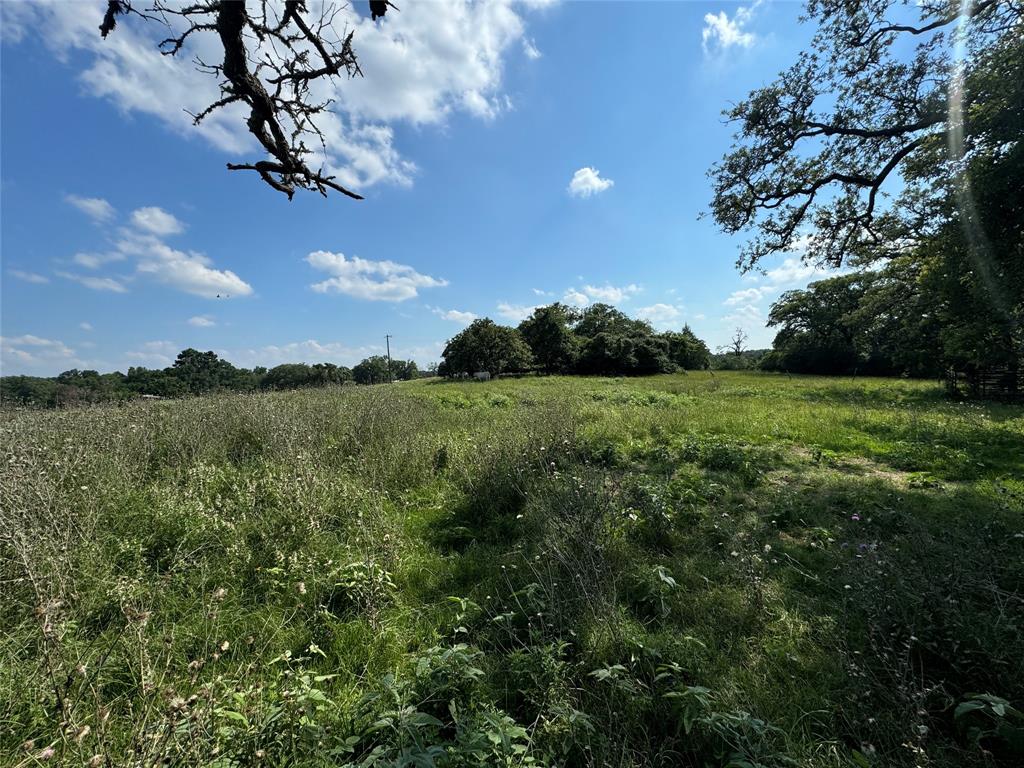 00 County Road 411 Road , Lexington, Texas image 13