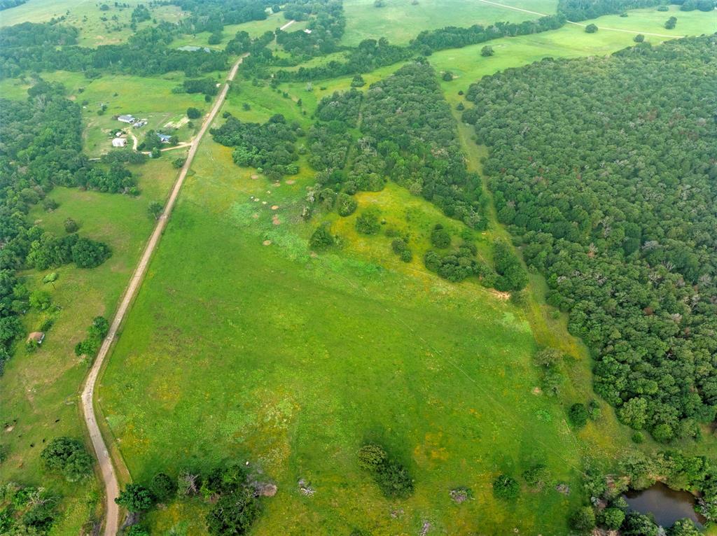 00 County Road 411 Road , Lexington, Texas image 15