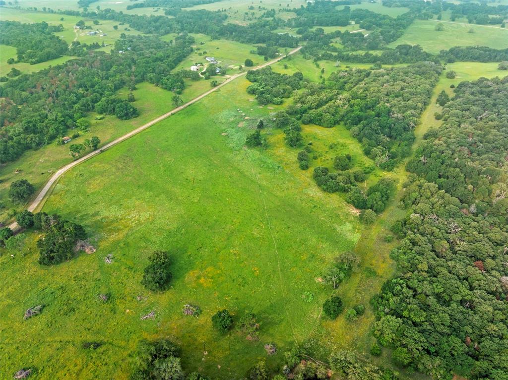 00 County Road 411 Road , Lexington, Texas image 17