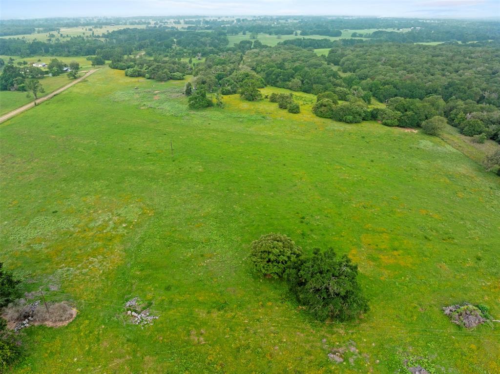 00 County Road 411 Road , Lexington, Texas image 18