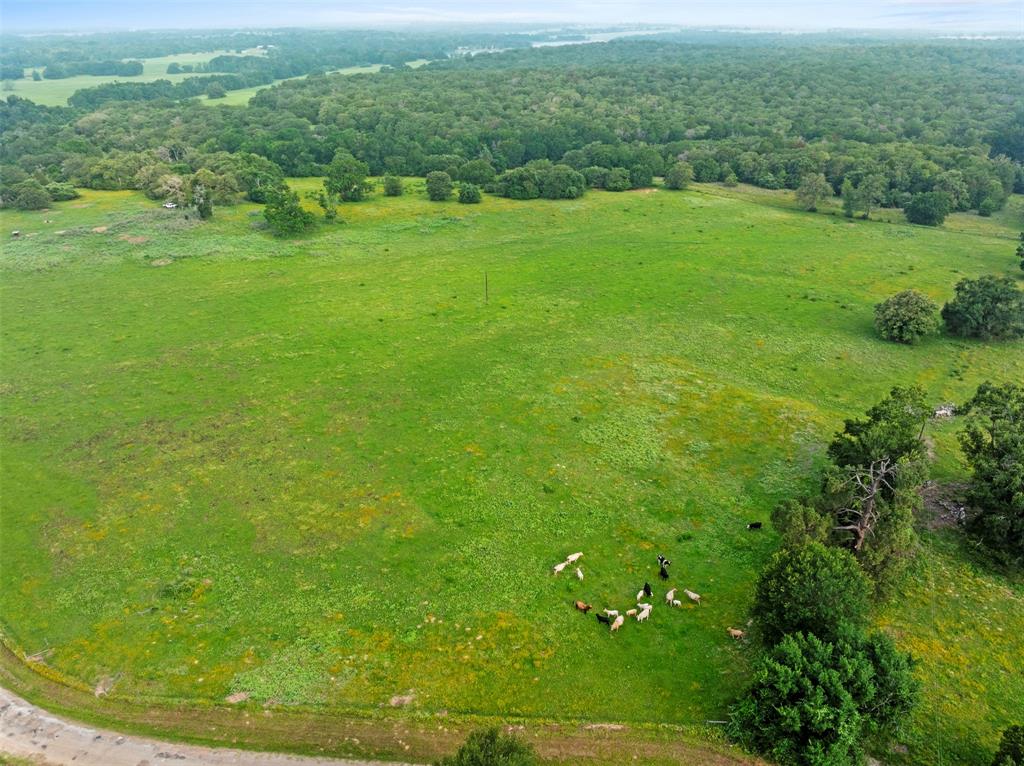 00 County Road 411 Road , Lexington, Texas image 20