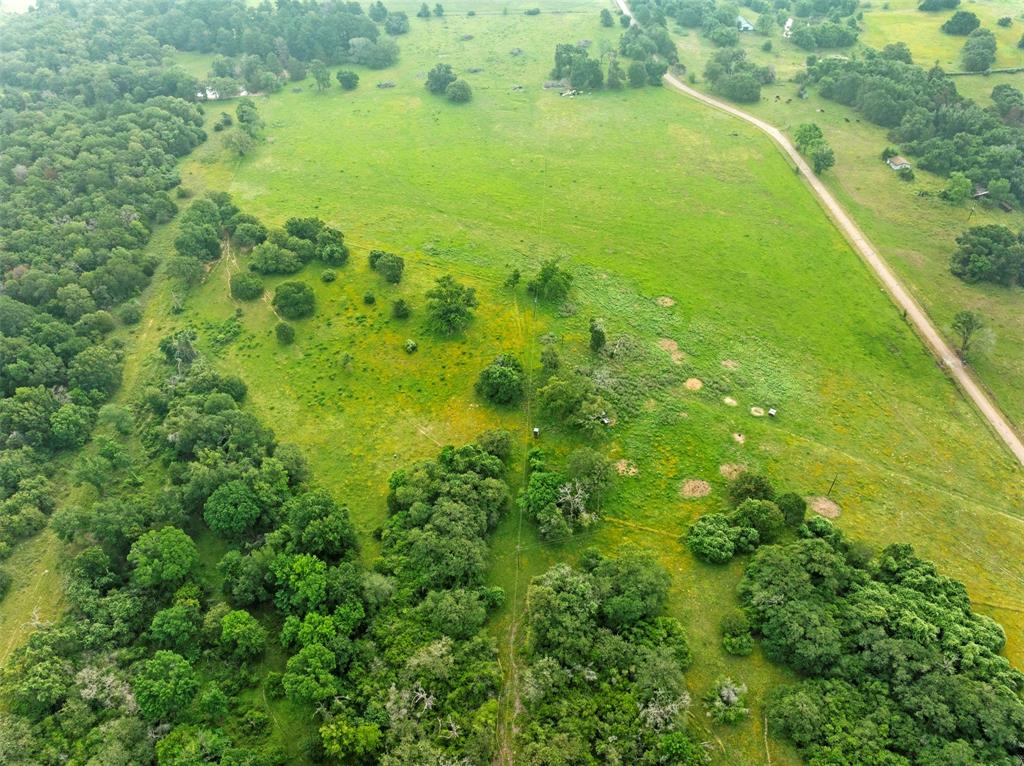 00 County Road 411 Road , Lexington, Texas image 26