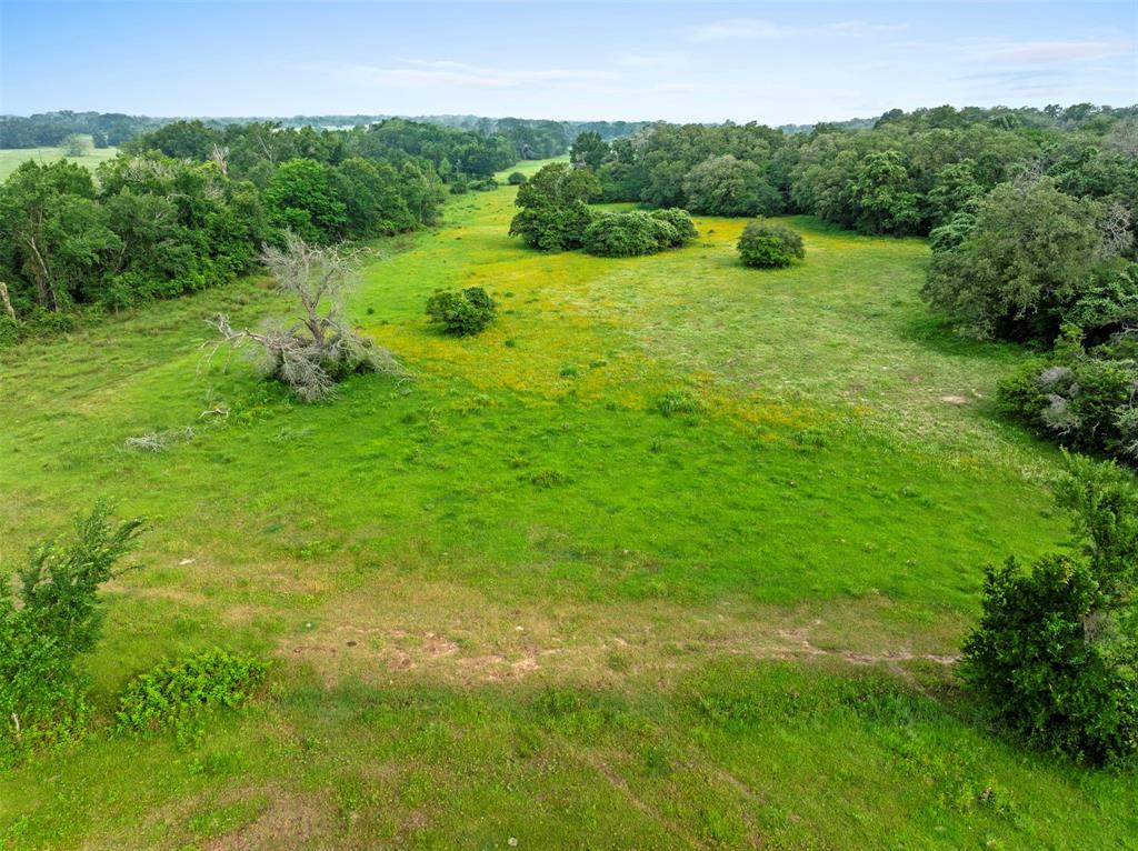 00 County Road 411 Road , Lexington, Texas image 27