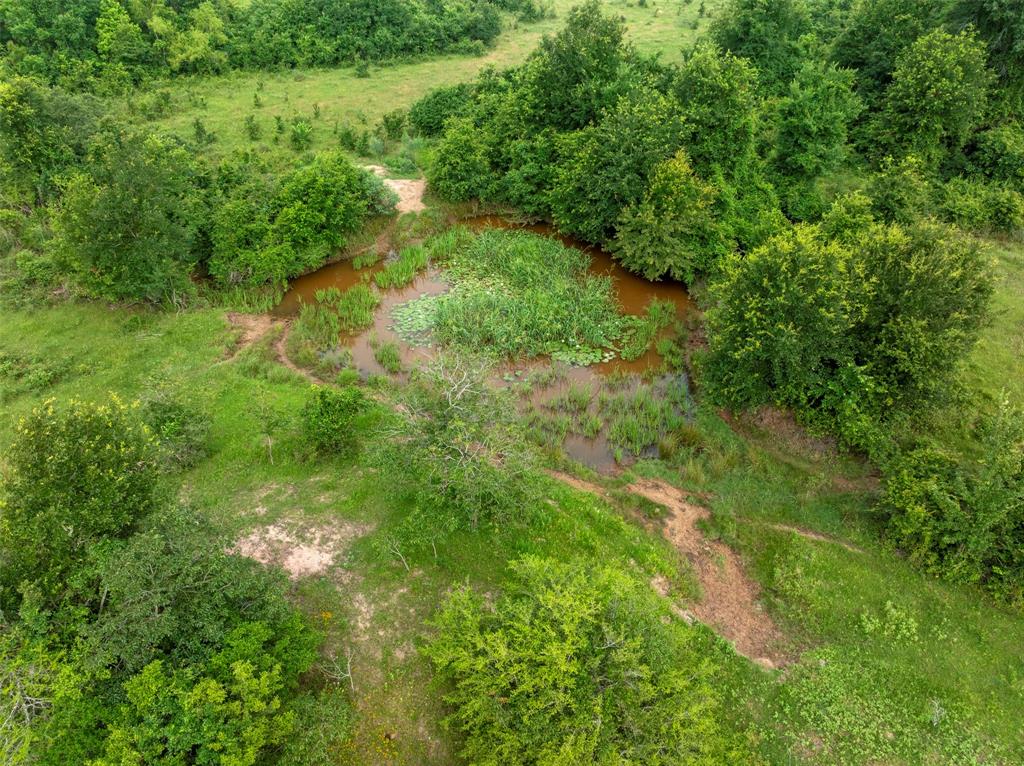 00 County Road 411 Road , Lexington, Texas image 28