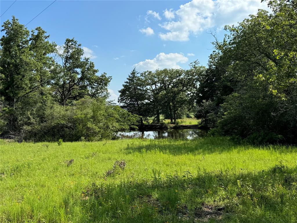 00 County Road 411 Road , Lexington, Texas image 4