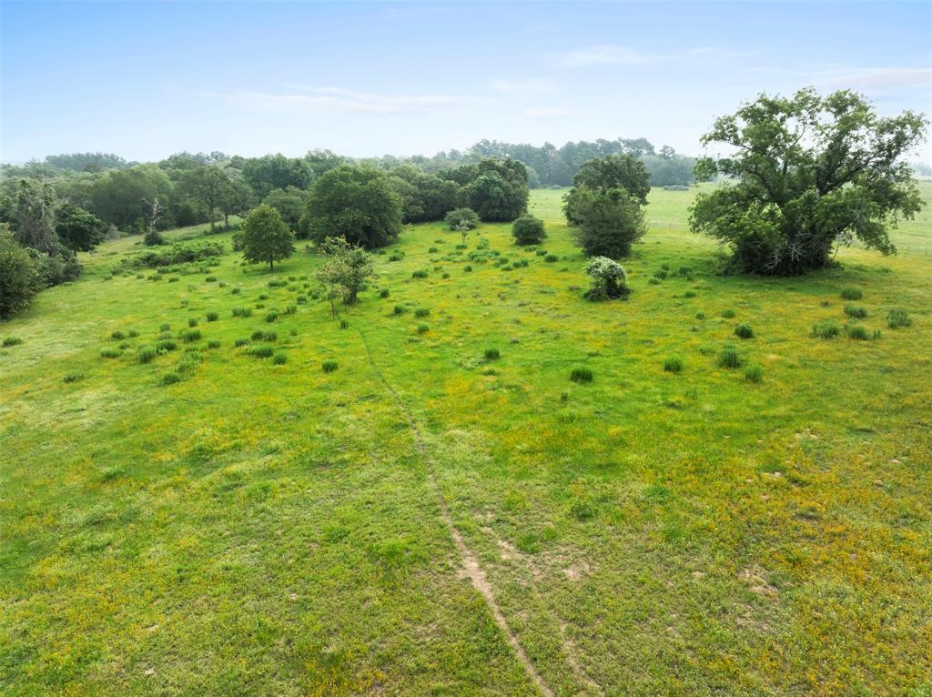 00 County Road 411 Road , Lexington, Texas image 31