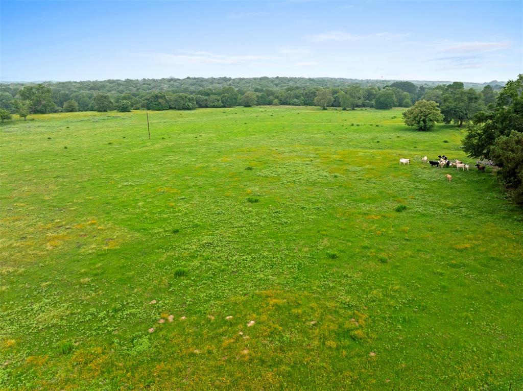 00 County Road 411 Road , Lexington, Texas image 32