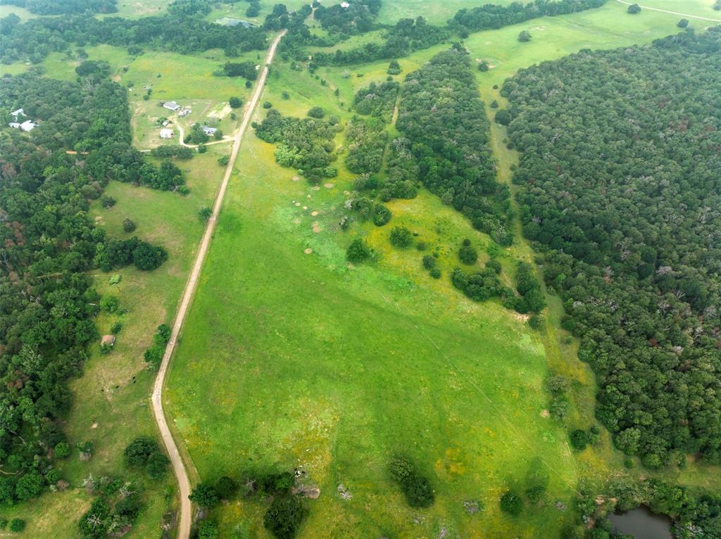 00 County Road 411 Road , Lexington, Texas image 36