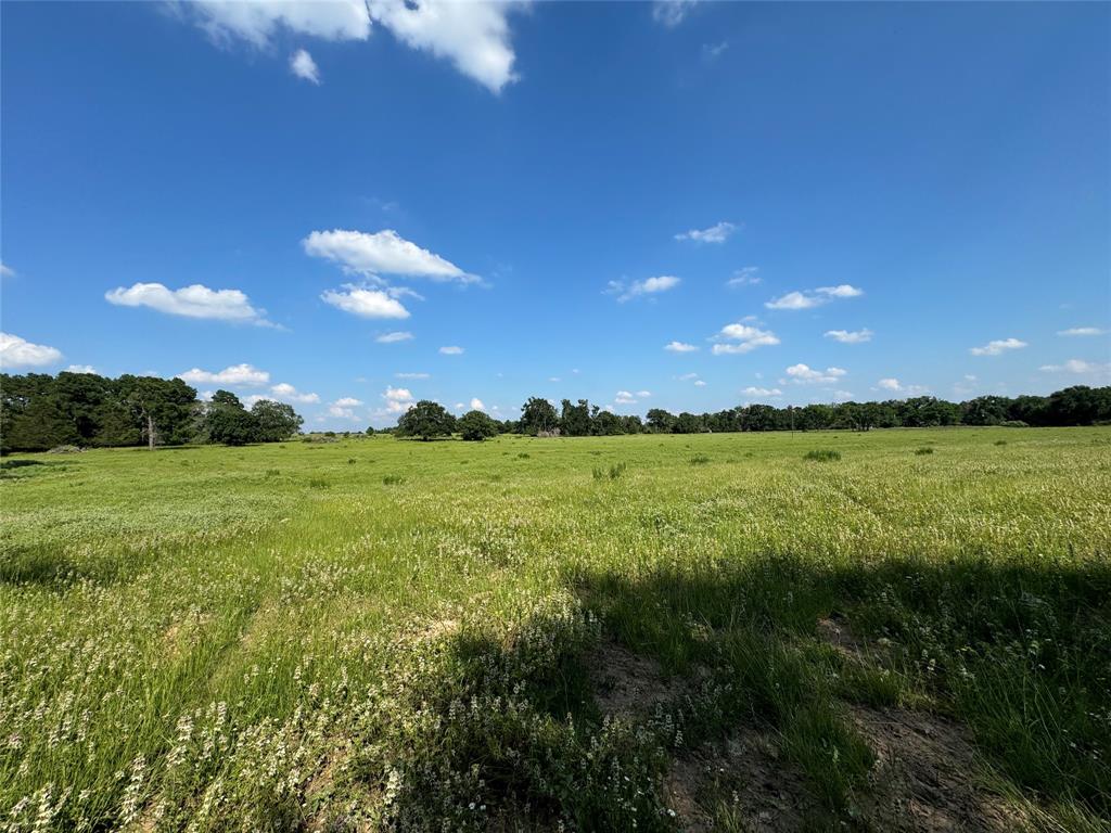 00 County Road 411 Road , Lexington, Texas image 5