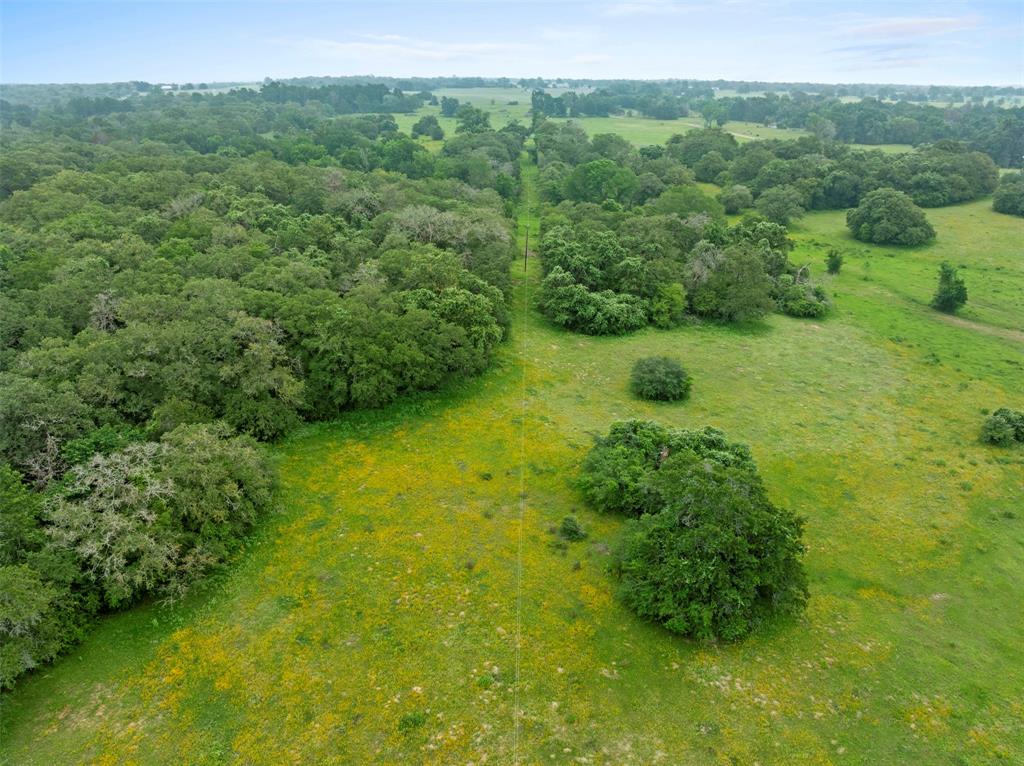 00 County Road 411 Road , Lexington, Texas image 43