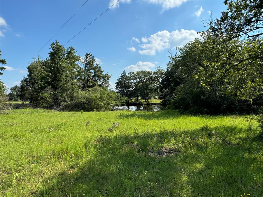 00 County Road 411 Road , Lexington, Texas image 6