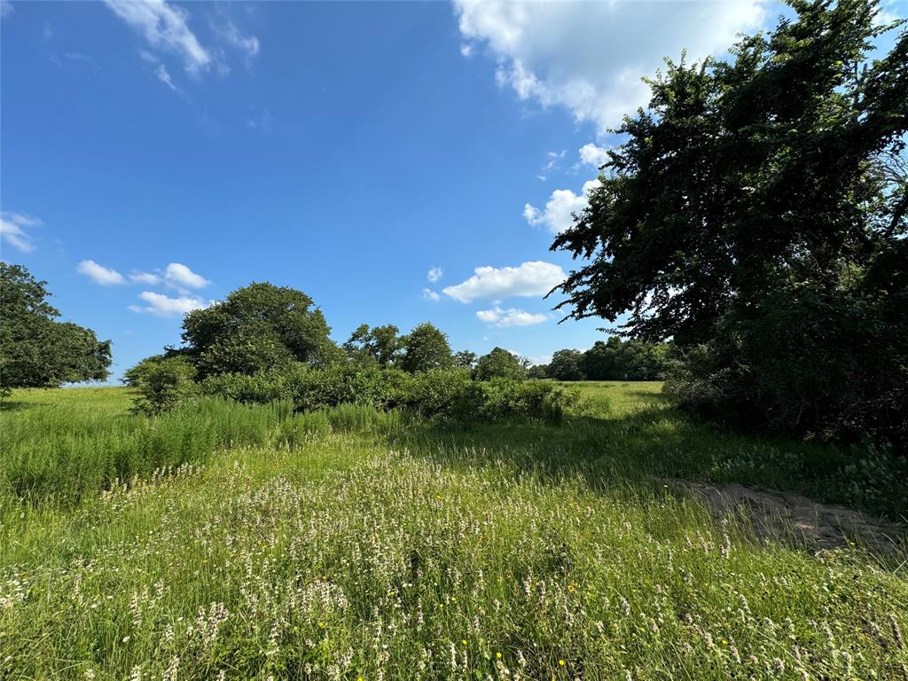 00 County Road 411 Road , Lexington, Texas image 7