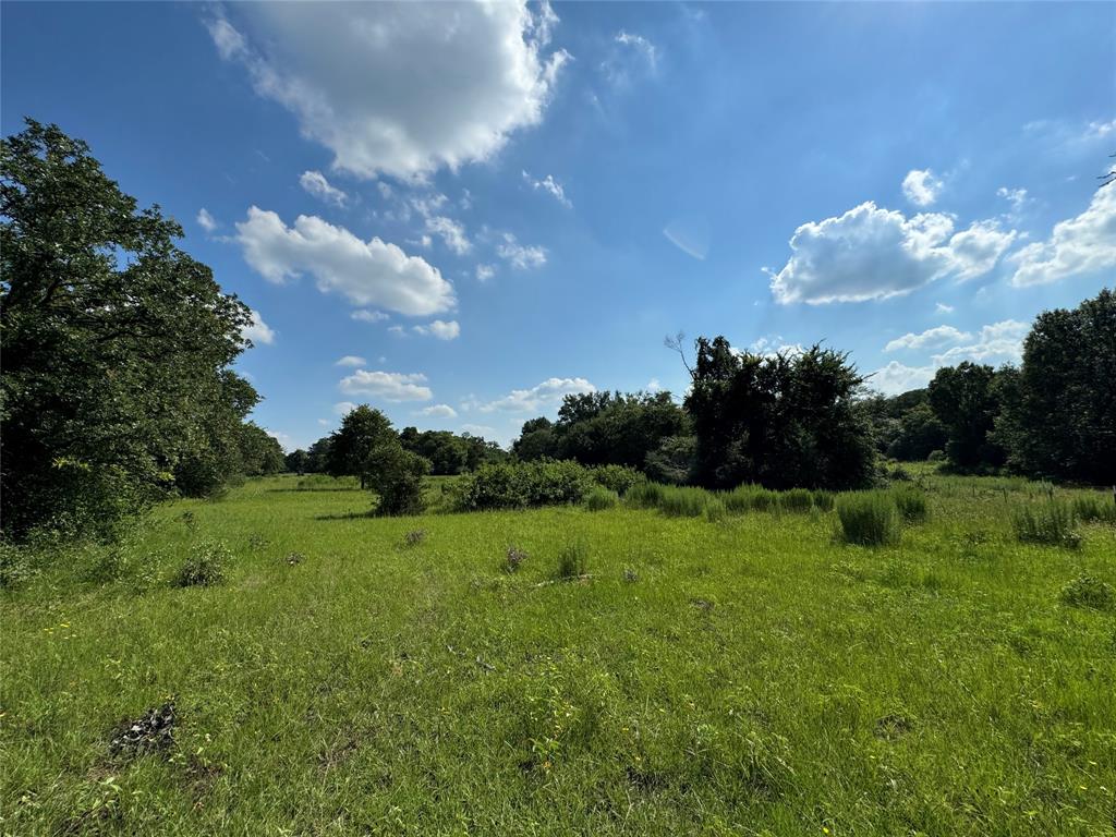 00 County Road 411 Road , Lexington, Texas image 8